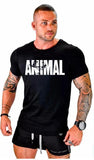 Printed ANIMAL Cotton Fitness T-shirt